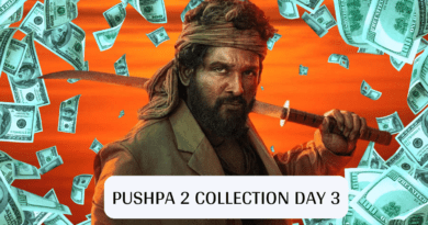 Pushpa 2 Collection Day 3